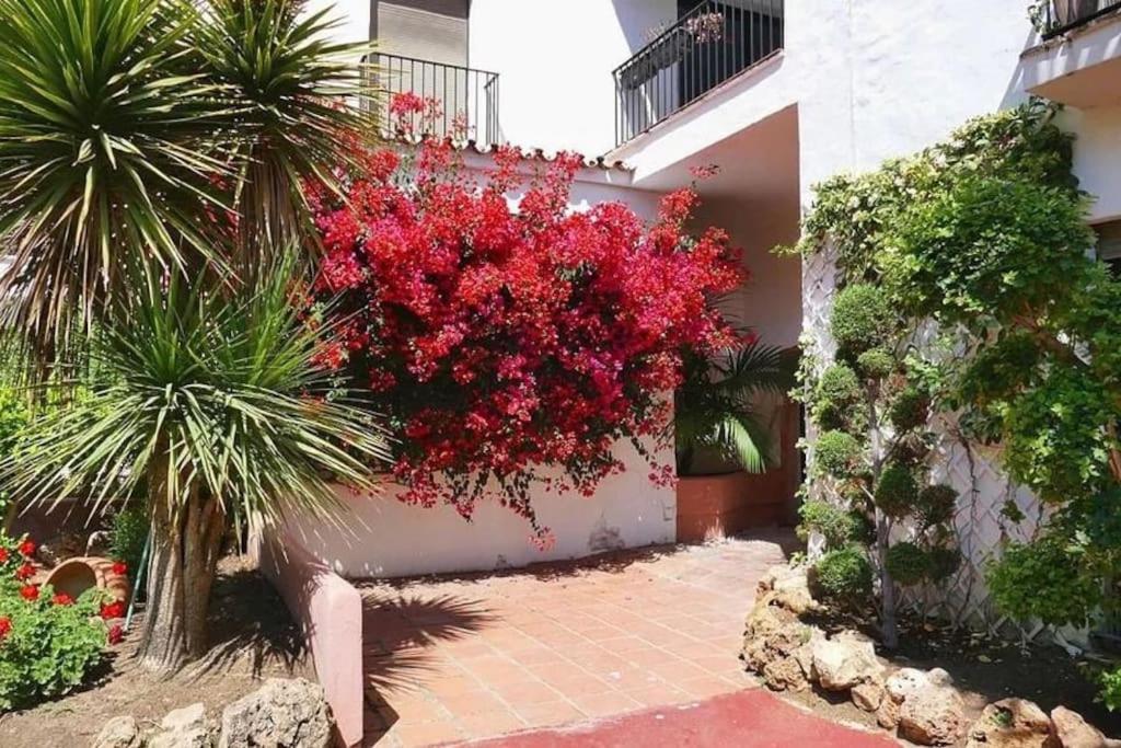 Caprichoso Apartamento En El Corazon De Puerto Banus Марбелья Екстер'єр фото